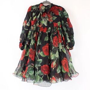 Dolce & Gabbana Long Sleeve Rose Print Chiffon Dress in Black/Green/Red - 24-30M